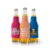 set of three foam sleeves koozie that fit over a bottle to keep drinks cool with customized family reunion design